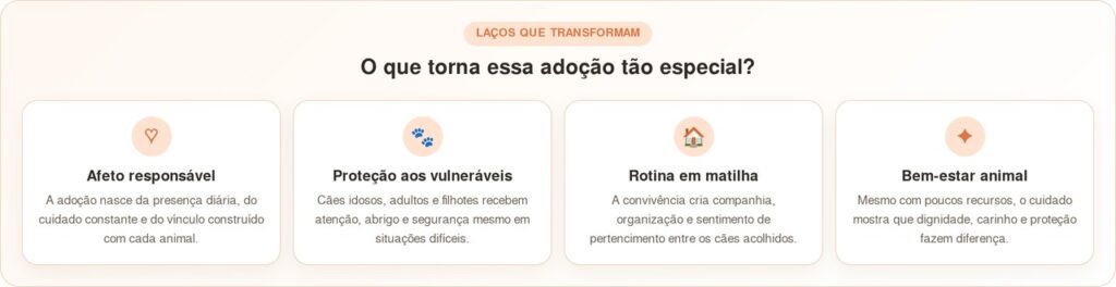 Homem bondoso transforma cães abandonados em sua família nas ruas
