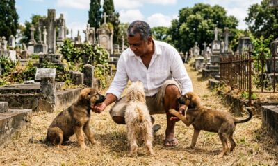 Filhotes abandonados cercam visitante em cemitério em busca de ajuda