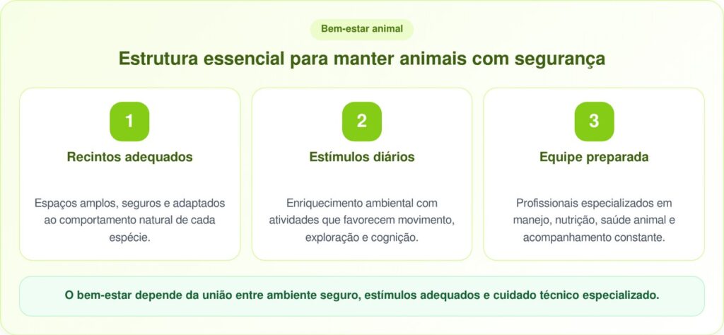 Tigre enjaulado emociona ao trocar sofrimento por liberdade em santuário