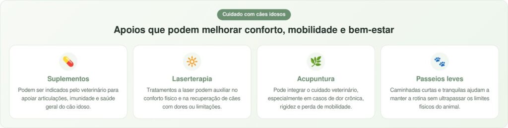 Cão com expectativa de vida de 6 meses ganha energia com sorvete semanal