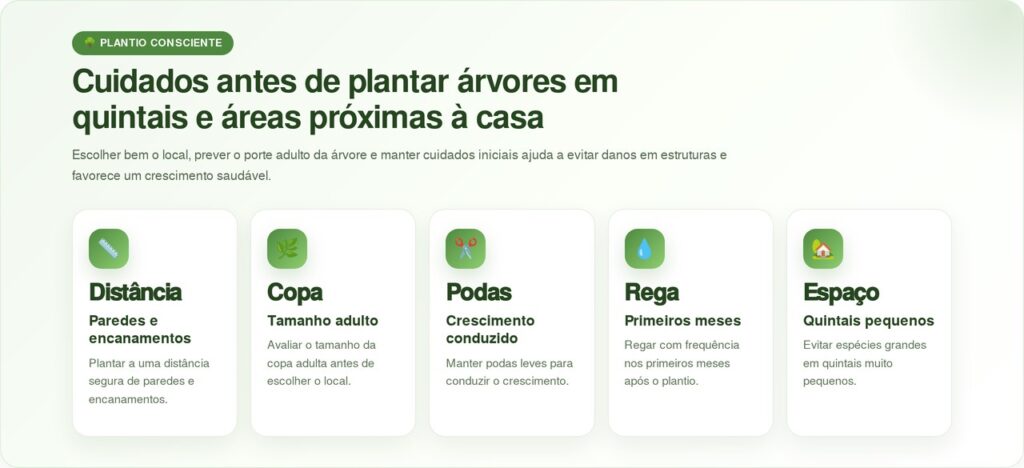 As 3 árvores que crescem rápido ajudam a fazer sombra e reduzir o calor ao redor da casa