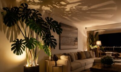A luz baixa transforma folhas grandes em desenhos vivos na parede