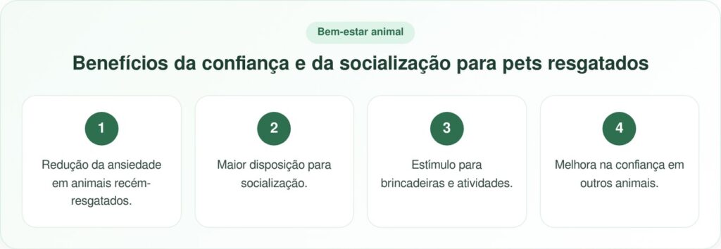 Gigante peludo visita um abrigo de animais diariamente e muda vidas
