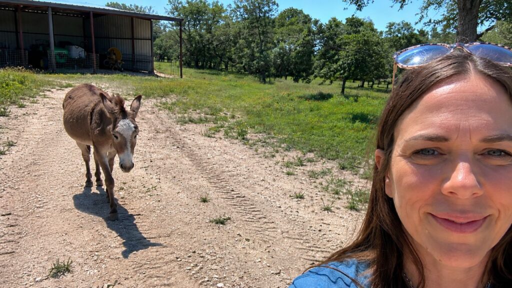 Eletricista chega para uma inspeção de rotina e encontra um amigo inesperado