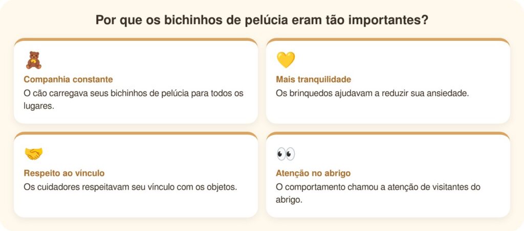 Cão de abrigo se recusa a sair sem seus bichinhos de pelúcia de apoio emocional