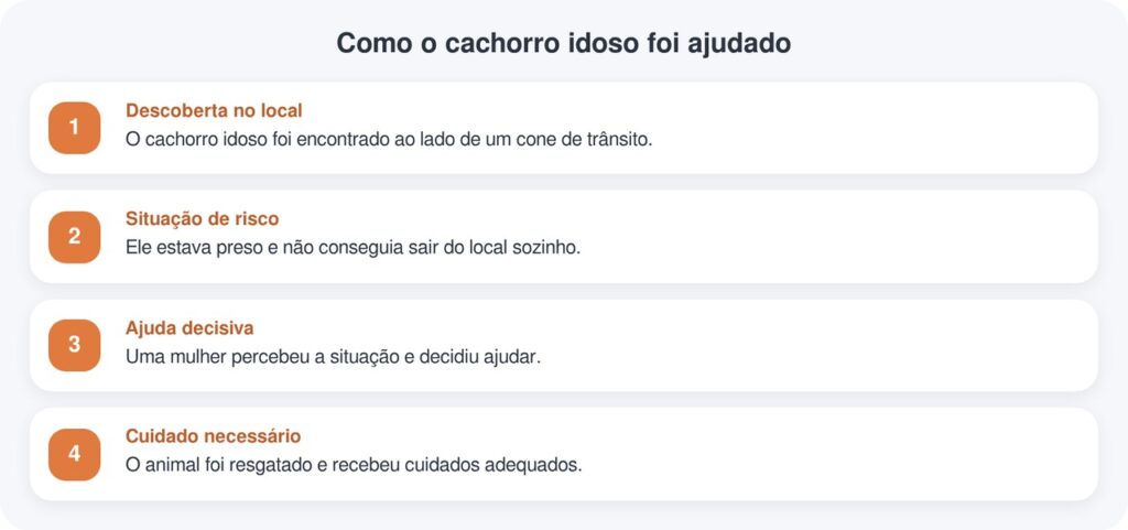 Mulher encontra cachorro idoso abandonado ao lado de cone e faz resgate emocionante