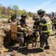 Bombeiros encontram cachorro de 90 quilos preso no subsolo após examinar pequeno buraco