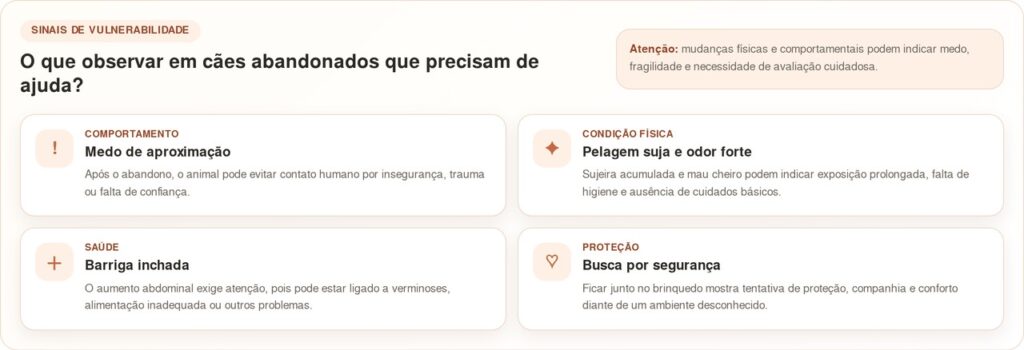 Mulher encontra bebês abandonados em um parque infantil