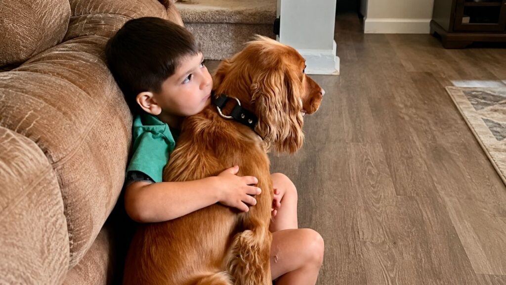 Cão de serviço alerta que criança diabética precisa de ajuda