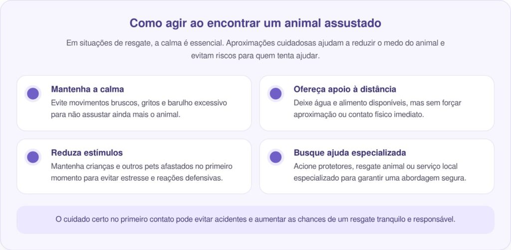 Cadela tremendo aparece na varanda de uma família e se recusa a sair