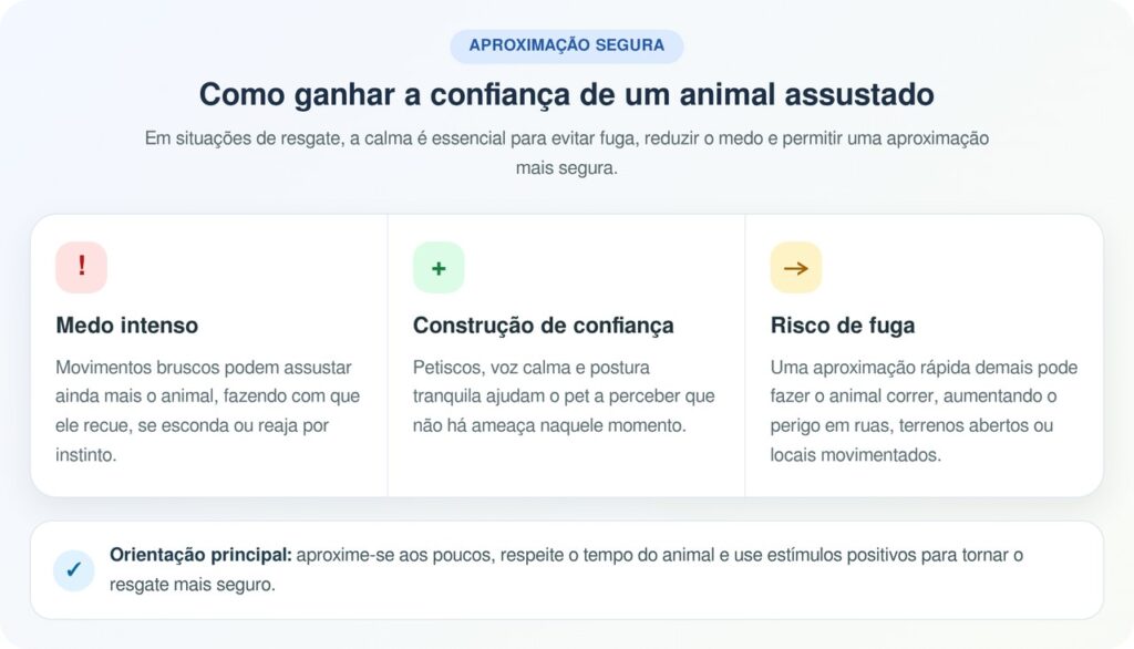 Cadela “congelada” em arbustos tem identidade descoberta após resgate