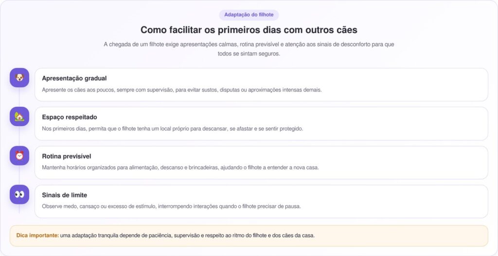 Filhote Abandonado De 4,5 Kg É Acolhido Por Pastores Alemães