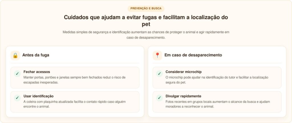 Husky escapa de casa e acaba em outro país em aventura surpreendente