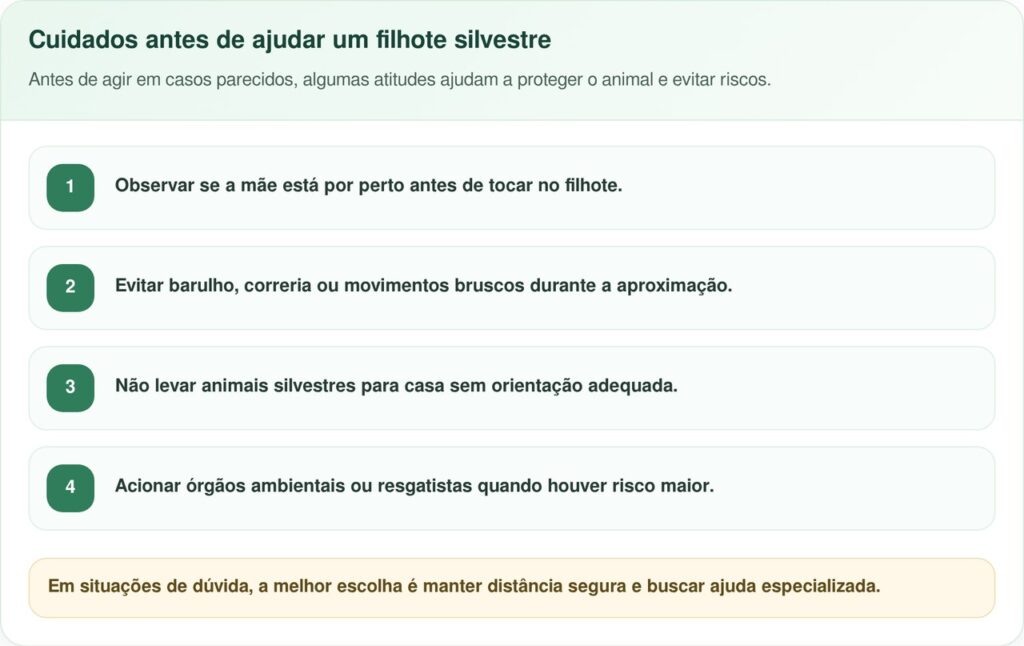 Patinho perdido é salvo após mulher estragar seus sapatos novos