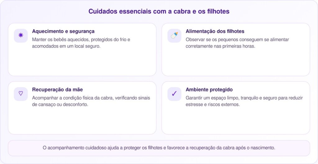Cabra dá à luz filhotes após ser atropelada por um carro e comove resgatadores