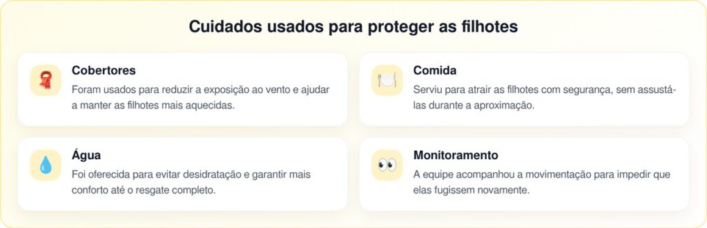 Filhotes abandonados no frio são salvos após se esconderem sob alpendre