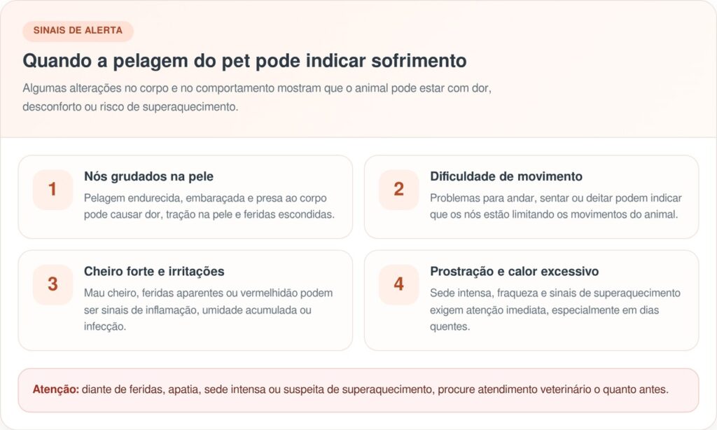 JIN chama atenção após ser resgatado do calor insuportável
