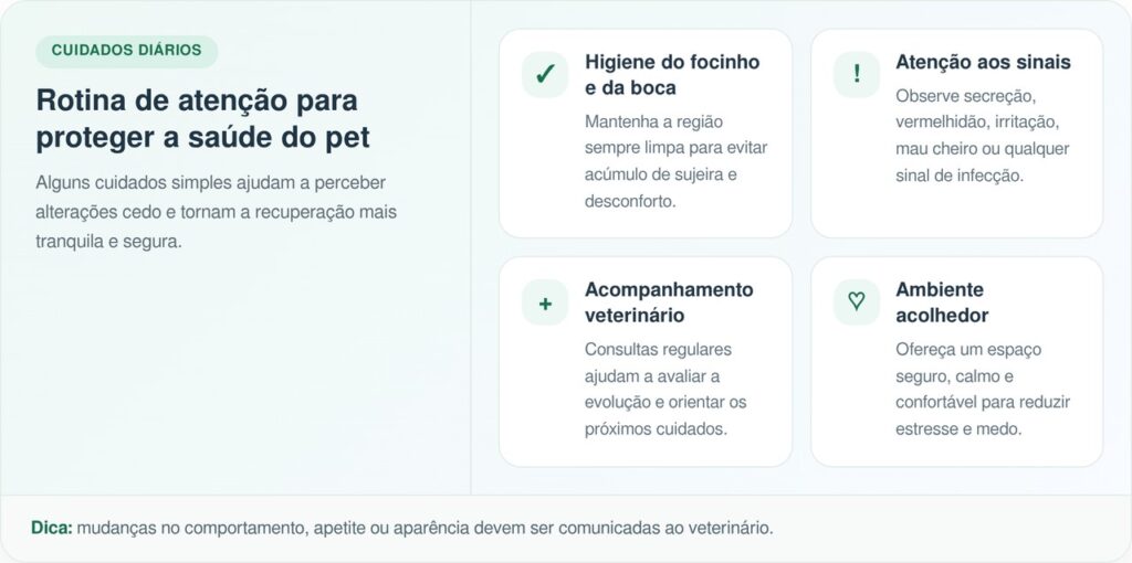 Onion Ring, a pequena “Gremlin” com lábio leporino, encontra um lar