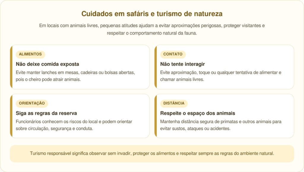 Babuíno gigante pega lanches de casal distraído com celulares em resort