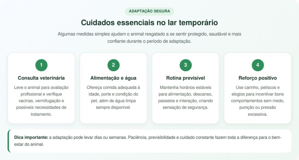 Cão pitbull sem-teto comove ao brincar com crianças pela primeira vez