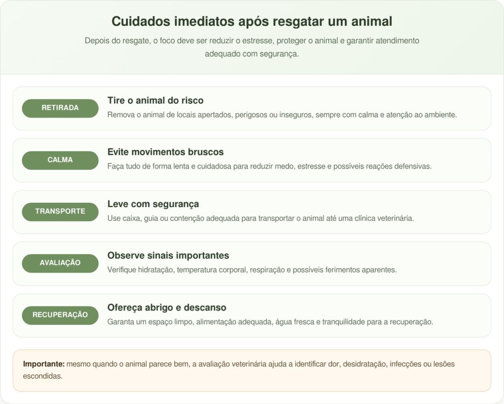 Socorrista vê nariz de cachorro saindo de caixa e age rápido
