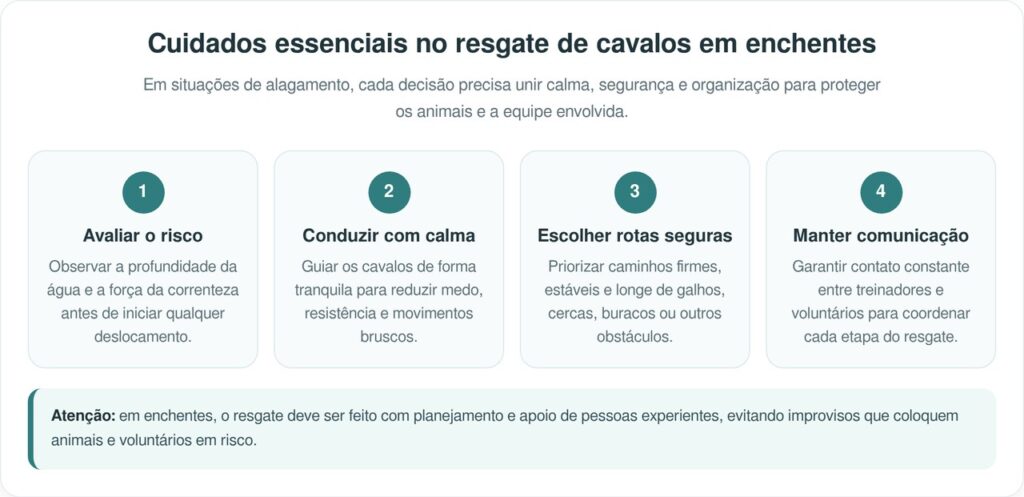 Quinze cavalos são resgatados em meio à enchente no Havaí
