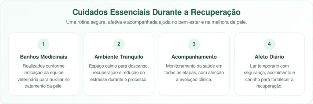 Devonna, a cadela que passou por uma transformação emocionante após ser resgatada