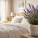 Lavanda deixa o quarto mais acolhedor com perfume suave