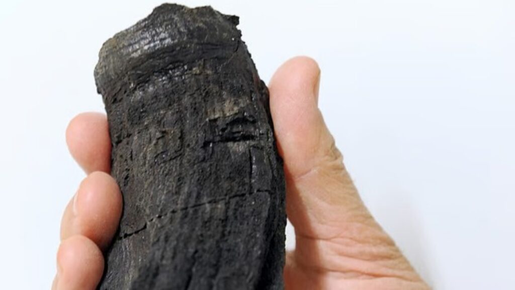 Dente gigante encontrado nos Alpes pode revelar um predador marinho de 205 milhões de anos