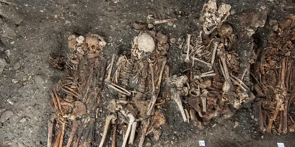 Iguais diante da morte? Grupo da população tinha mais chances de morrer durante a peste negra