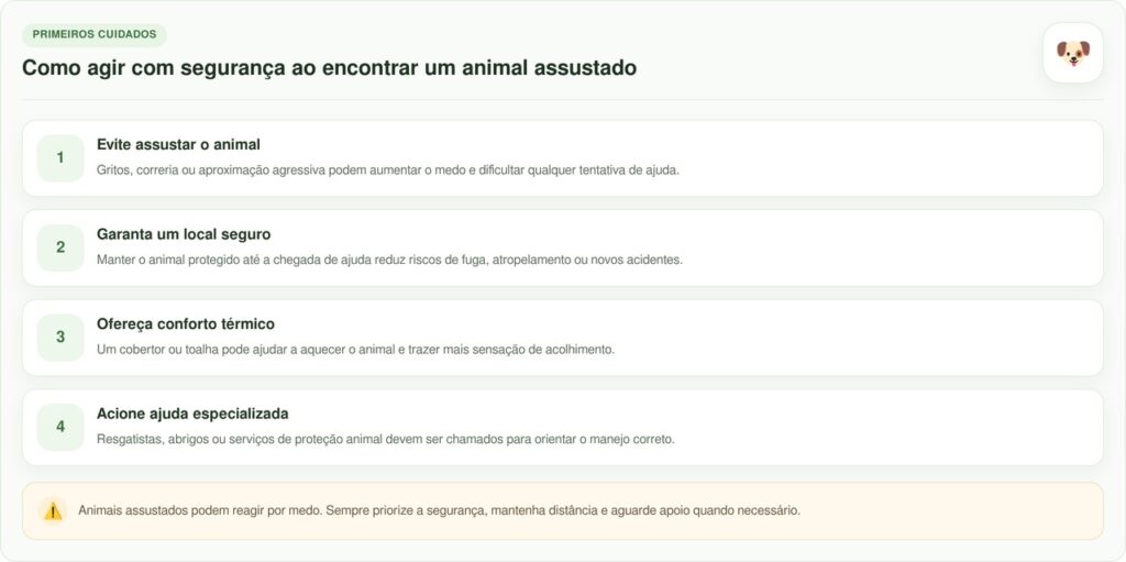 Animal de estimação peludo é descoberto escondido em elevador de estação