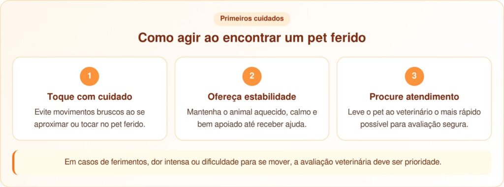 Gato ferido emociona ao confiar no resgate animal e encontrar proteção
