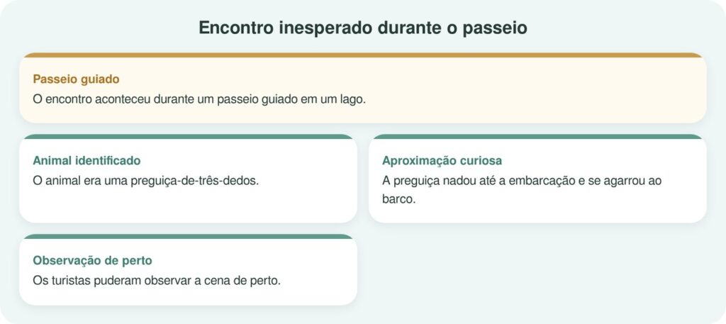 Guia turístico vê respingos na água e se surpreende com o que se agarra ao barco