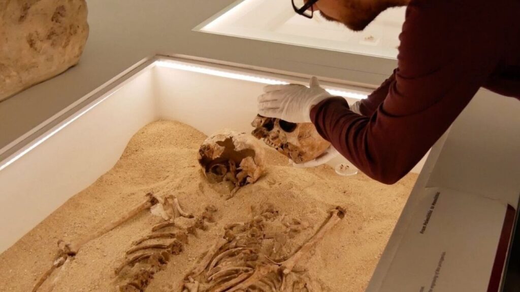 Esqueletos abraçados da Era do Gelo guardaram segredo por 12 mil anos até o DNA revelar a verdade