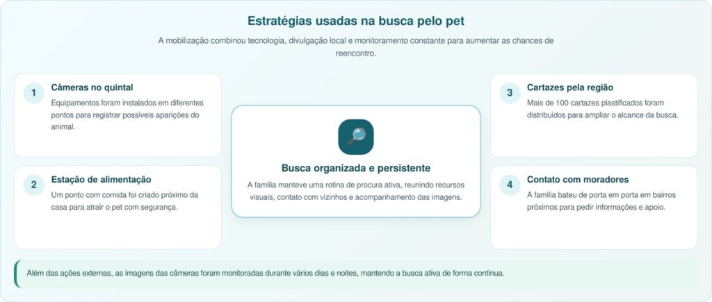 Olhos brilhantes em câmera de segurança ajudam a encontrar amiga desaparecida