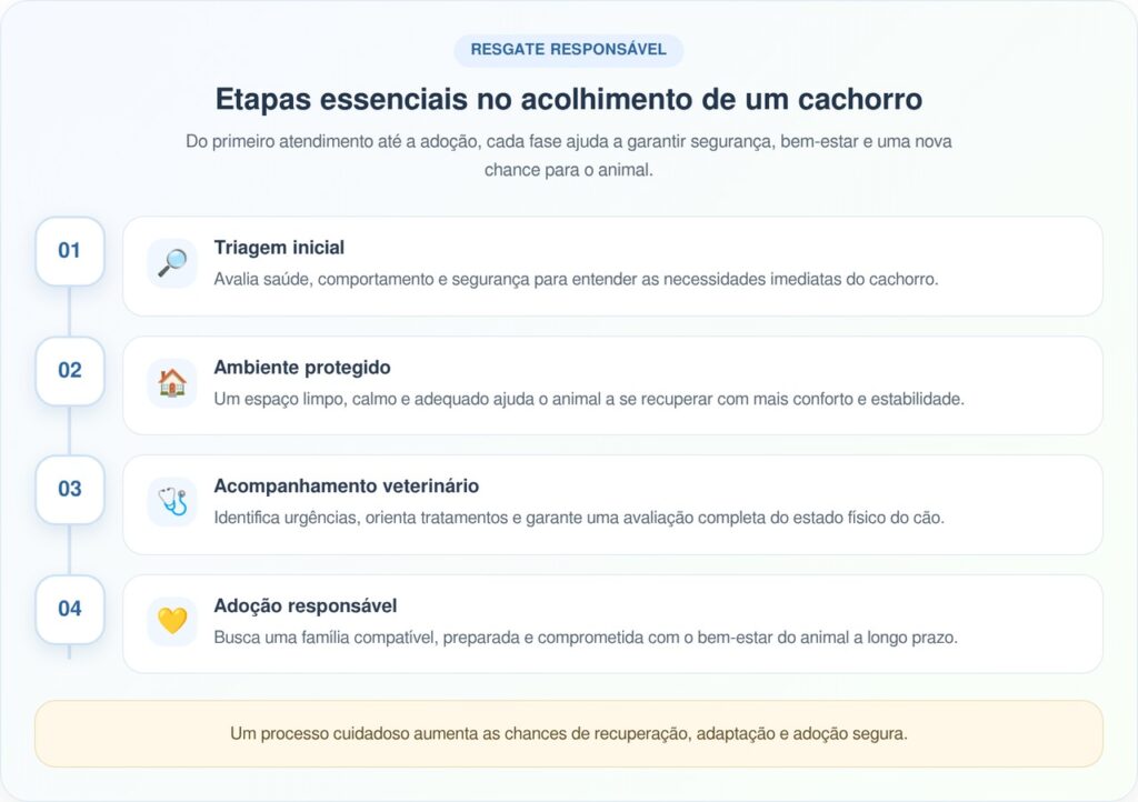 Cadela Diamond chega sozinha a abrigo de animais e surpreende equipe de resgate