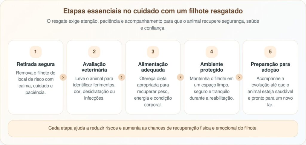 Filhote faminto é salvo e ganha nova vida após ser atropelado por um carro