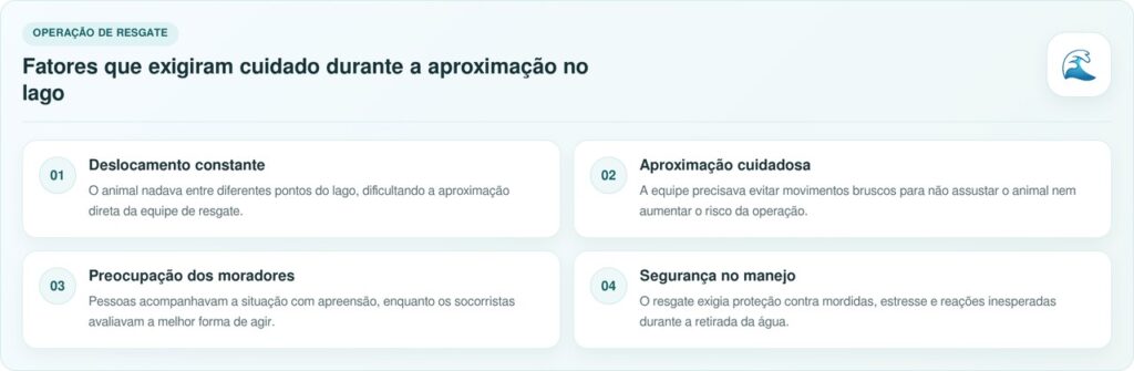 Bombeiros pulam em lago para salvar cachorro e encontram animal surpreendente