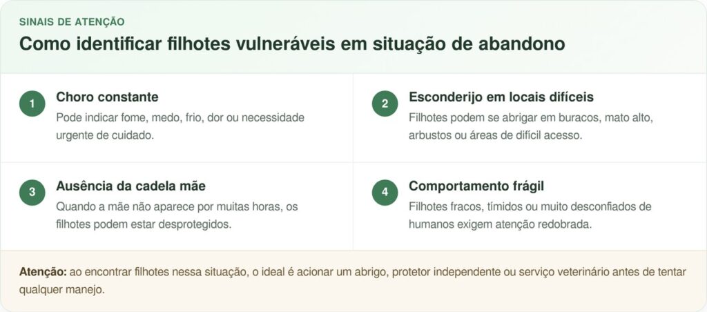 5 cachorrinhos são encontrados na floresta após mulher ouvir choros no caminho para o trabalho