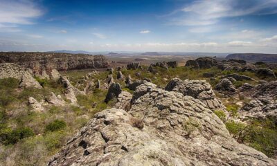 Caatinga: as peculiaridades de um bioma exclusivamente brasileiro