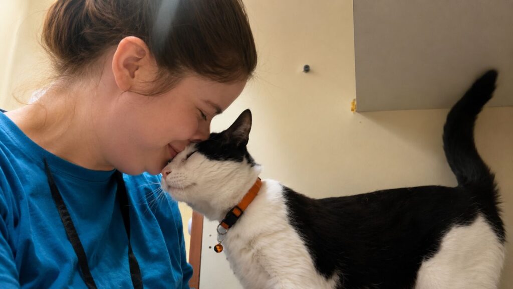 Gato de abrigo dá cabeçada em voluntária enlutada e transforma duas vidas para sempre