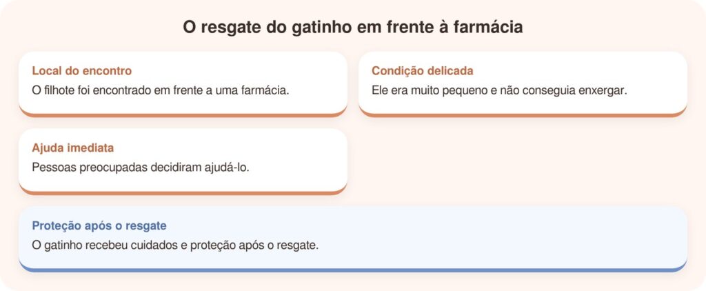 A vida de um gatinho cego mudou para sempre em frente a uma farmácia