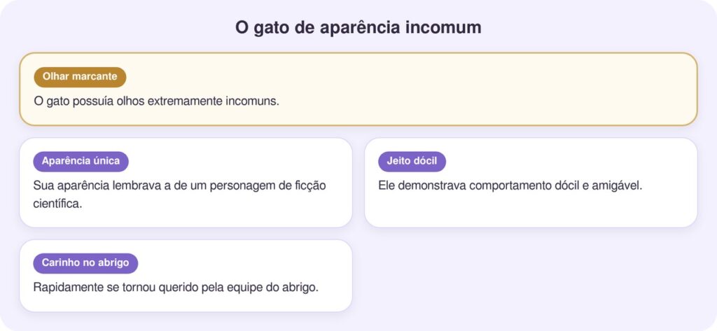 Gato com olhos 'alienígenas' surpreende equipe de abrigo como nunca antes