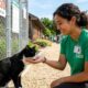 Gato de abrigo dá cabeçada em voluntária enlutada e transforma duas vidas para sempre