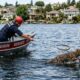 Bombeiros pulam em lago para salvar cachorro e encontram animal surpreendente