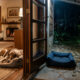 Segundo especialistas, onde os cães devem dormir em noites frias