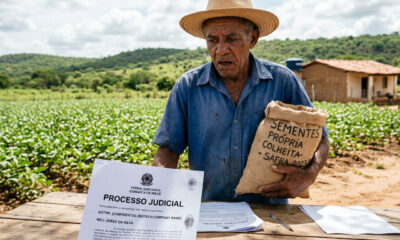 Agricultor é processado após guardar sementes da própria colheita: cobrança de royalties já soma R$ 15 bilhões no STJ