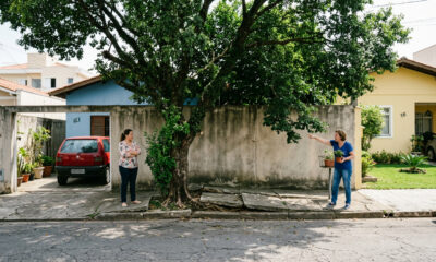 O Código Civil permite que os proprietários removam galhos e raízes das árvores e plantas de seus vizinhos nesses casos