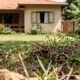 5 maneiras de distinguir cobras venenosas de não venenosas para se proteger em casa