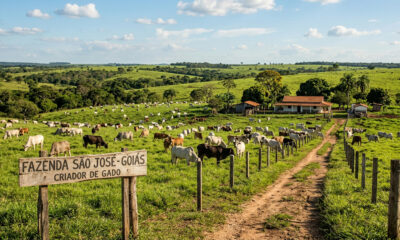 Pai deixa fazenda de R$ 78 milhões e 2000 cabeças de gado para um filho, e apenas 3 carros antigos para os outros dois: lei em Goiás obriga nova divisão